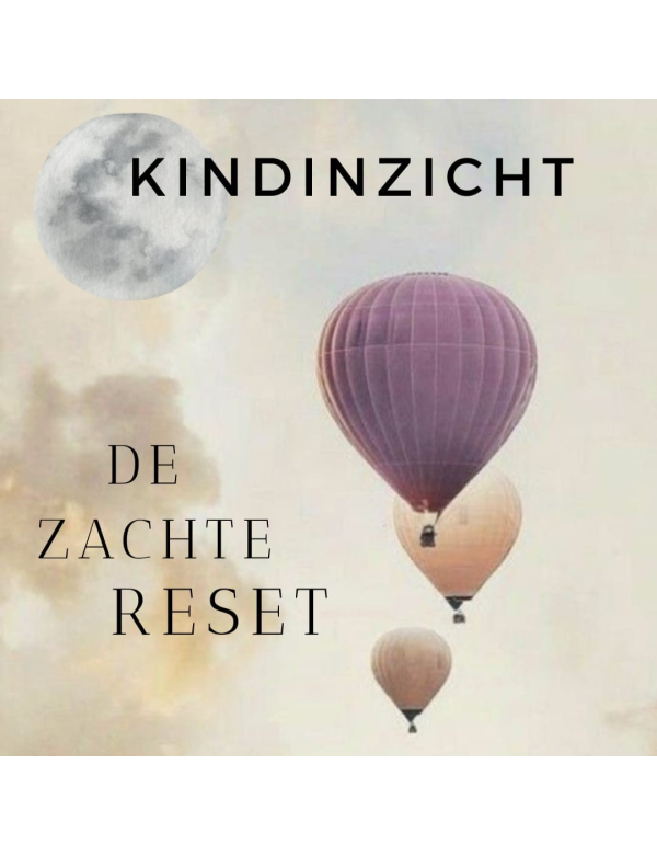 De Zacht Reset Guide