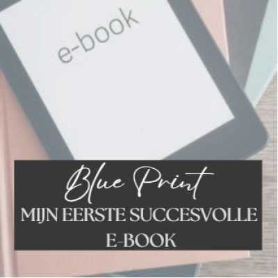 Blueprint, Mijn eerste succesvolle e-book