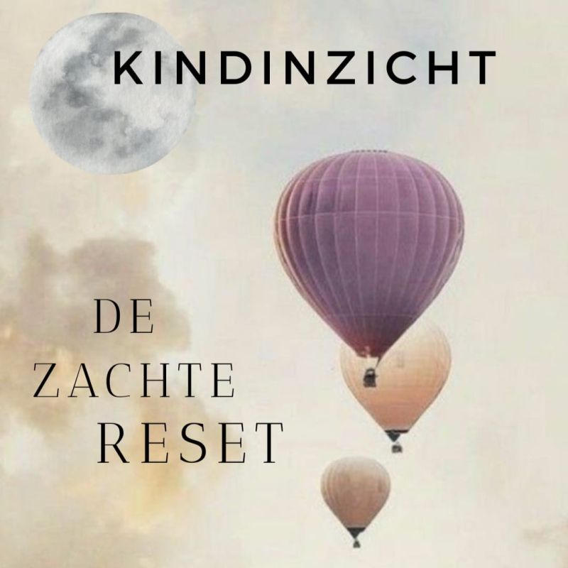 De Zacht Reset Guide